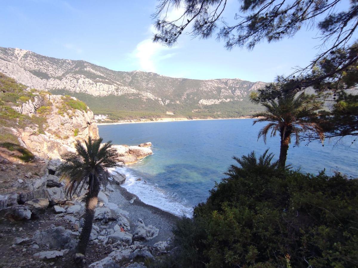 Hurmalik Apart Evleri-Very Close To The Sea Large Garden Bungalow With Barbecue And Swing Karaoz Exterior foto